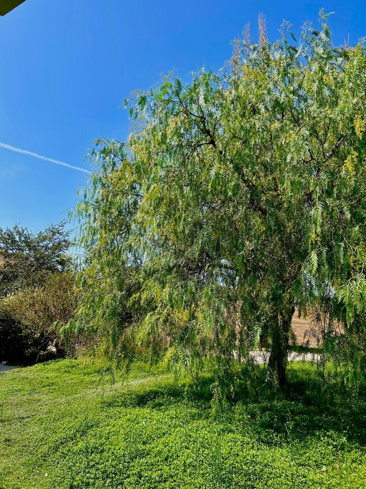 Agriturismo Podere Farnesiana Тарквиния Экстерьер фото